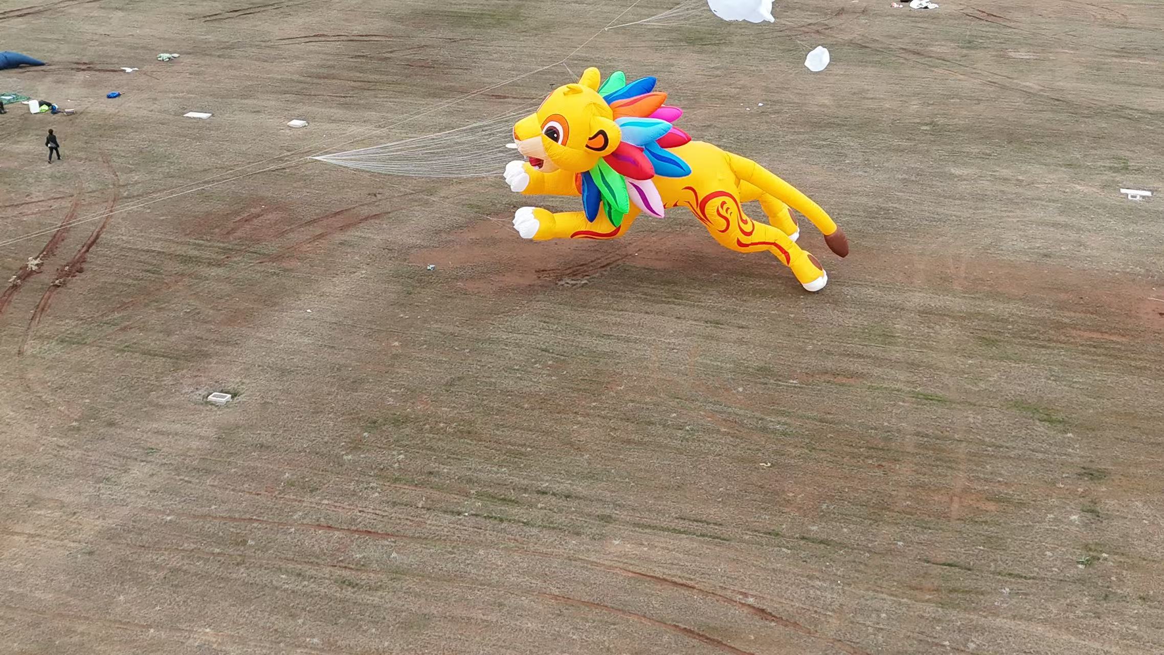 上海市品牌风筝定制软体风筝定制 - 推荐